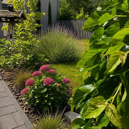 Appartement Zur Quelle Wernigerode