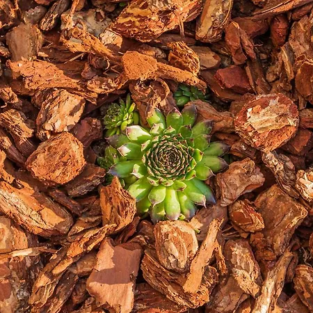 Zur Quelle Apartament