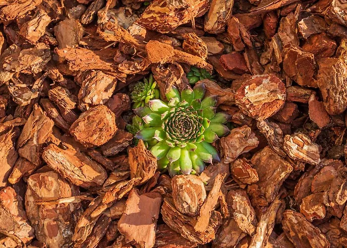 Zur Quelle Apartament